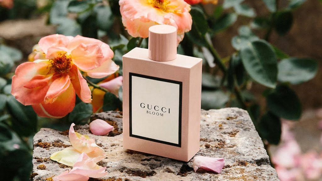 nước hoa Gucci Bloom.

